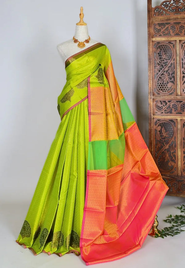 Apple-Green Silk-Tanchui Embossed-Weaving Banarasi-Saree